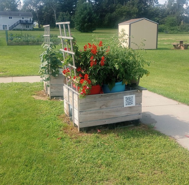 An image of Peter's garden.