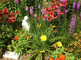 unity of madison flowers in bloom